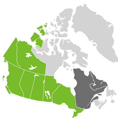Distribution: Koeleria sect. Koeleria Persoon