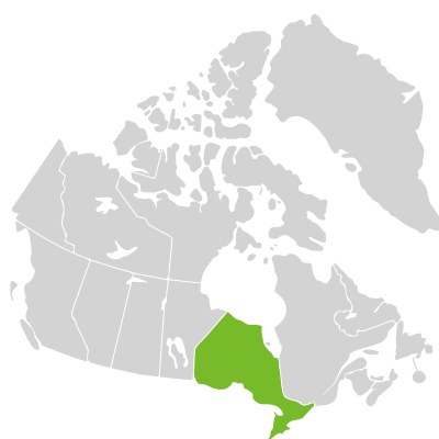 Distribution: Polymnia canadensis Linnaeus