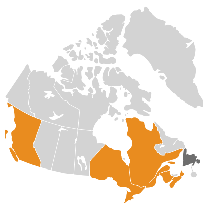 Distribution: Centaurea ×gerstlaueri Erdner