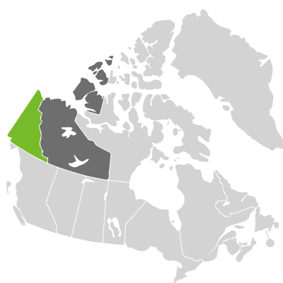 Distribution: Odontarrhena americana (Greene) D.A. German