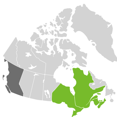 Distribution: Pontederia subg. Pontederia Linnaeus