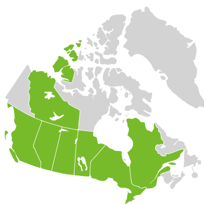 Distribution: Lactuca oblongifolia Nuttall