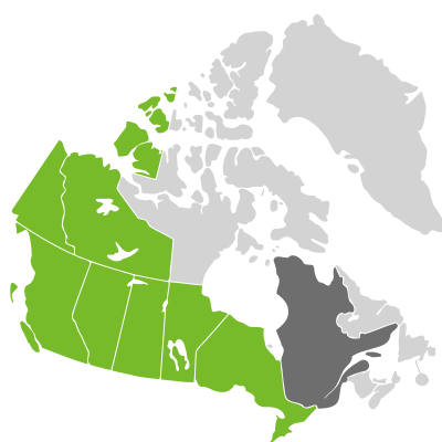 Distribution: Arabidopsis lyrata