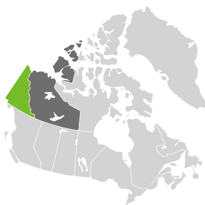 Distribution: Noccaea arctica (A.E. Porsild) Holub