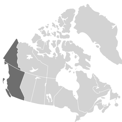 Distribution: Linnaea borealis Linnaeus subsp. borealis