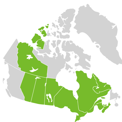 Distribution: Hudsonia tomentosa