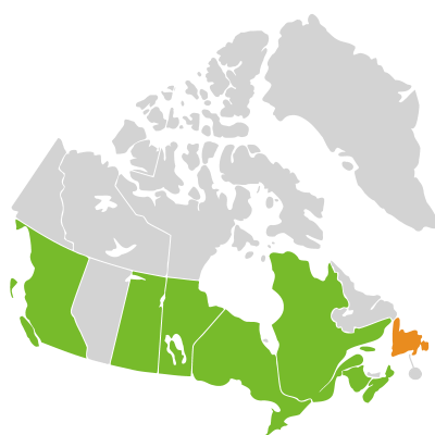 Distribution: Elodea canadensis