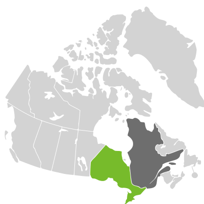 Distribution: Collinsonia canadensis Linnaeus