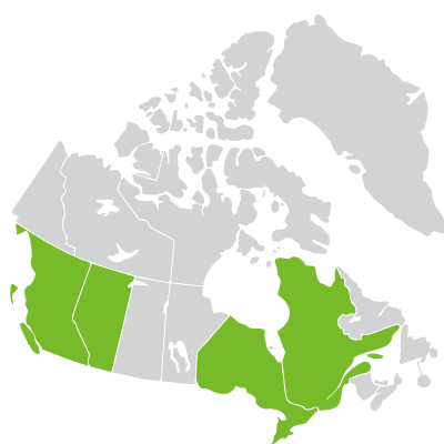 Distribution: Wolffia borealis
