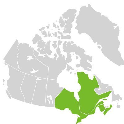 Distribution: Lilium canadense