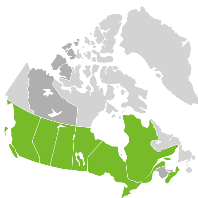 Distribution: Oenothera villosa