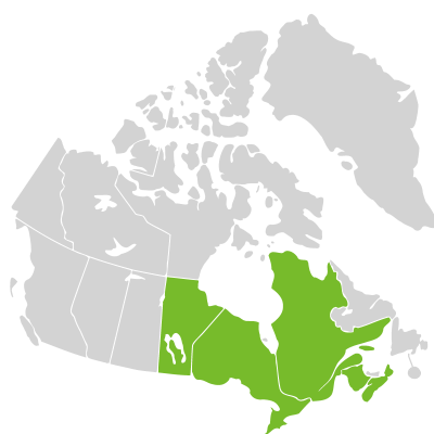 Distribution: Sanguinaria canadensis Linnaeus