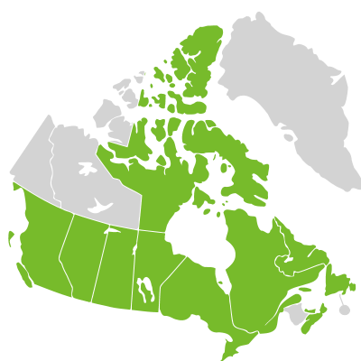 Distribution: Parnassia parviflora
