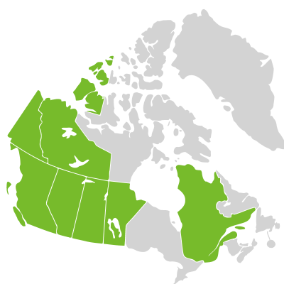 Distribution: Plantago eriopoda