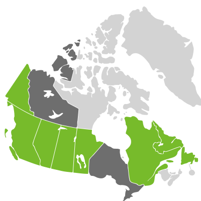 Distribution: Danthonia intermedia