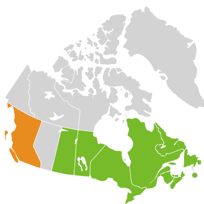 Distribution: Glyceria canadensis