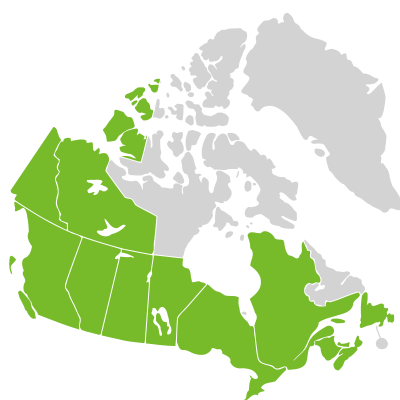Distribution: Oryzopsis asperifolia