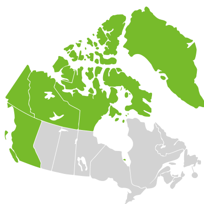Distribution: Polemonium boreale Adams