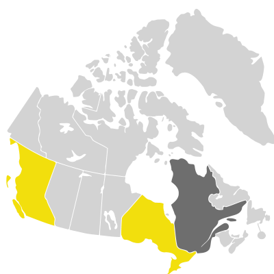 Distribution: Nigella damascena Linnaeus