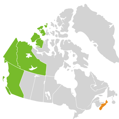 Distribution: Sanguisorba officinalis Linnaeus