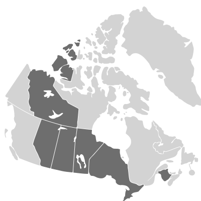 Distribution: Salix lutea